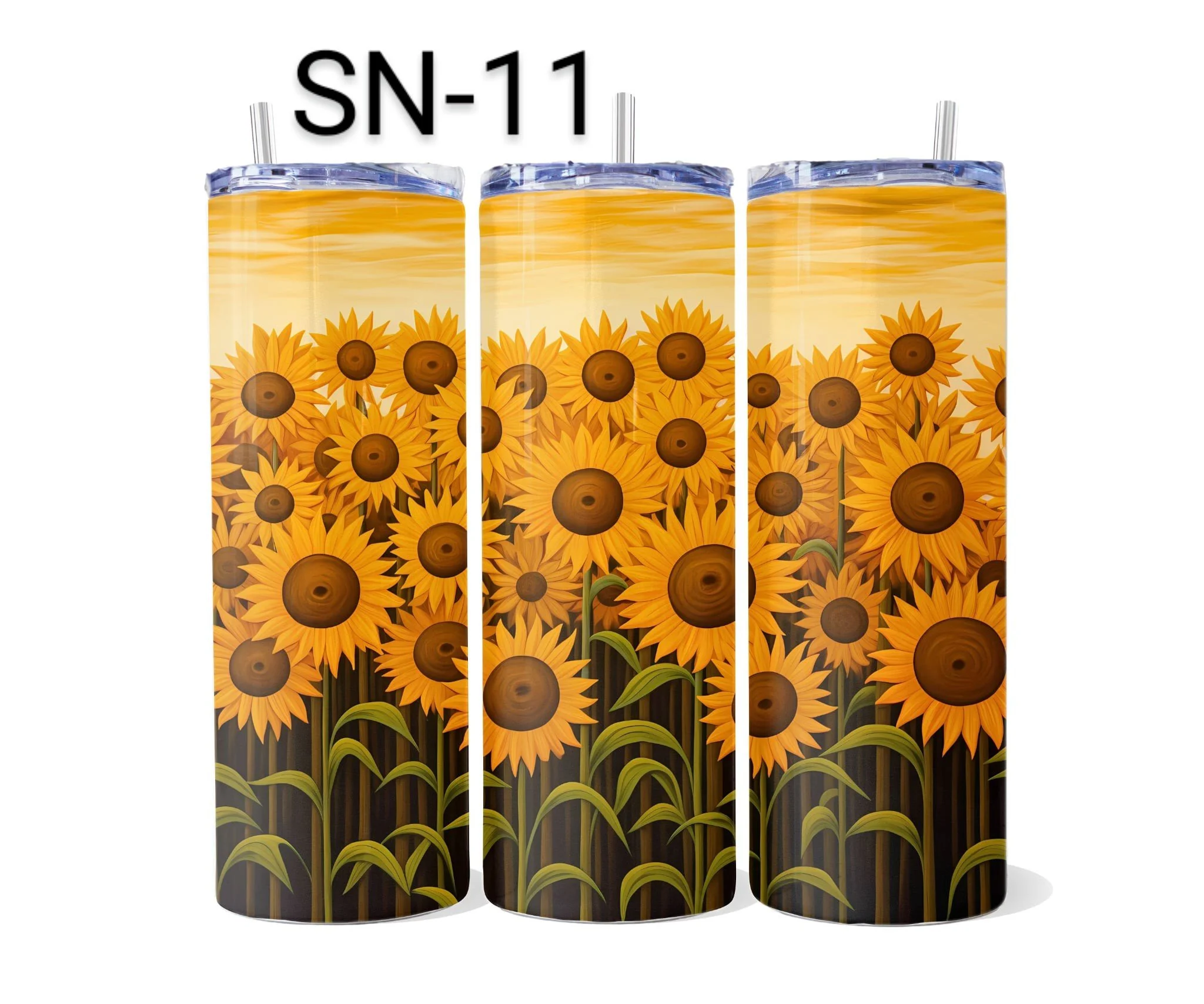 SN-11.jpeg