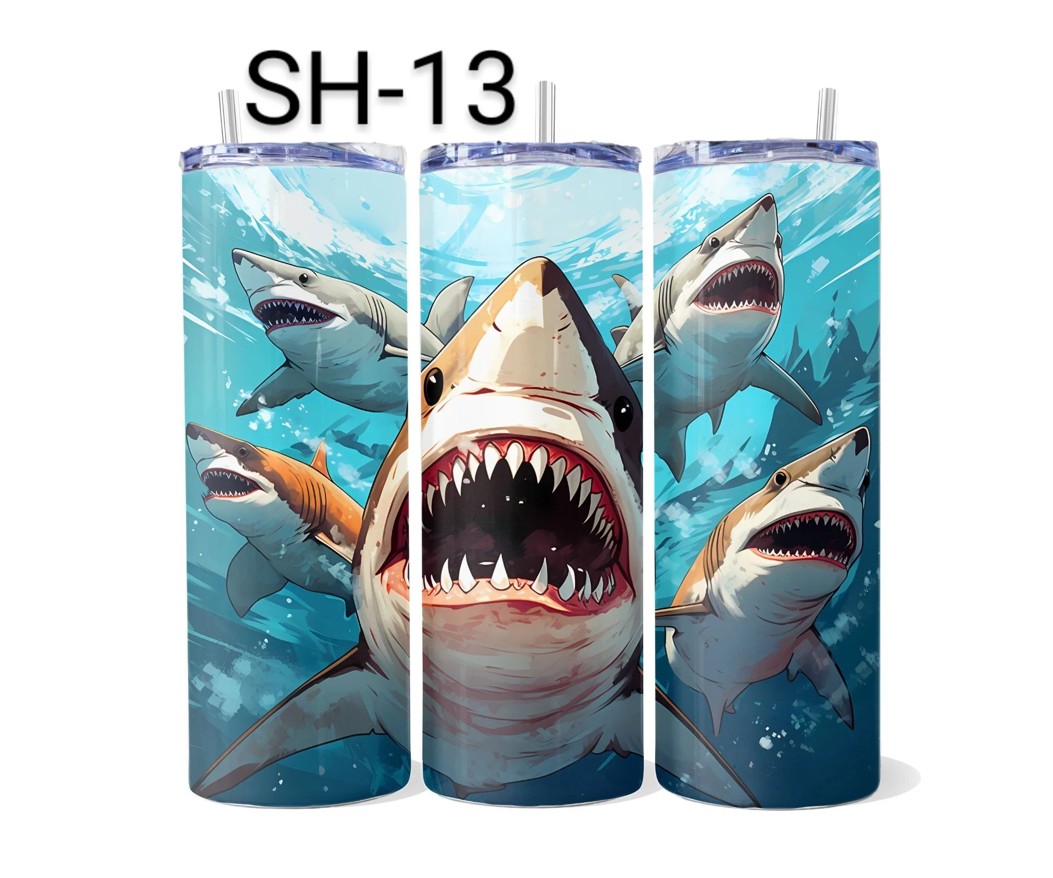 SH-13.jpeg