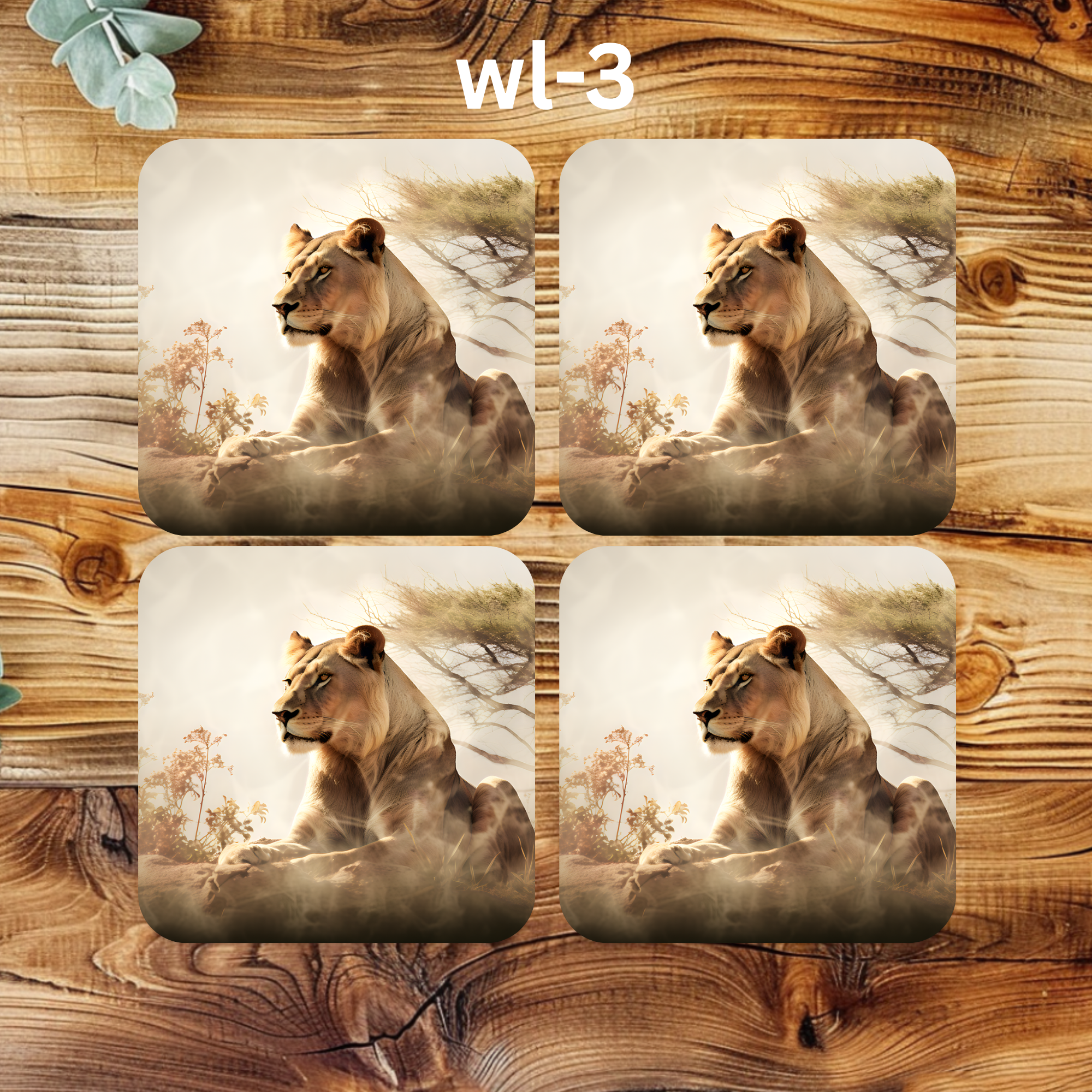 wl-3.png