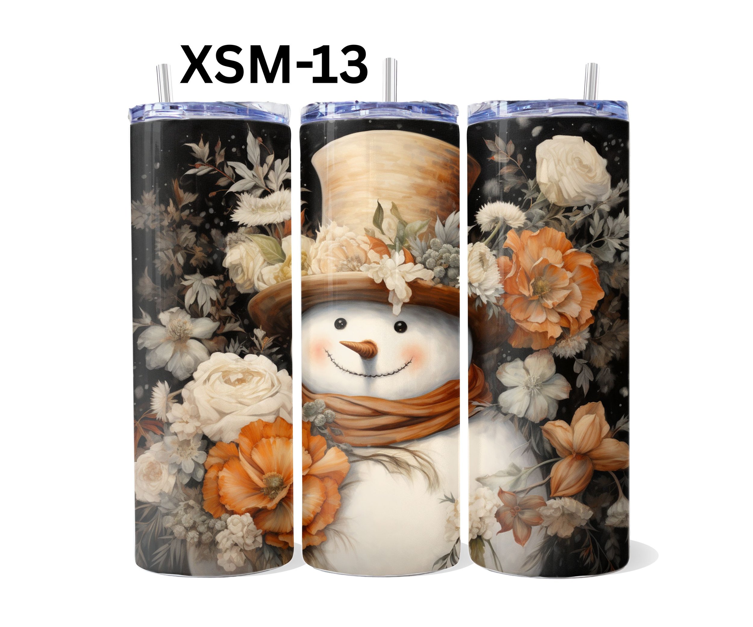 XSM-13.jpg