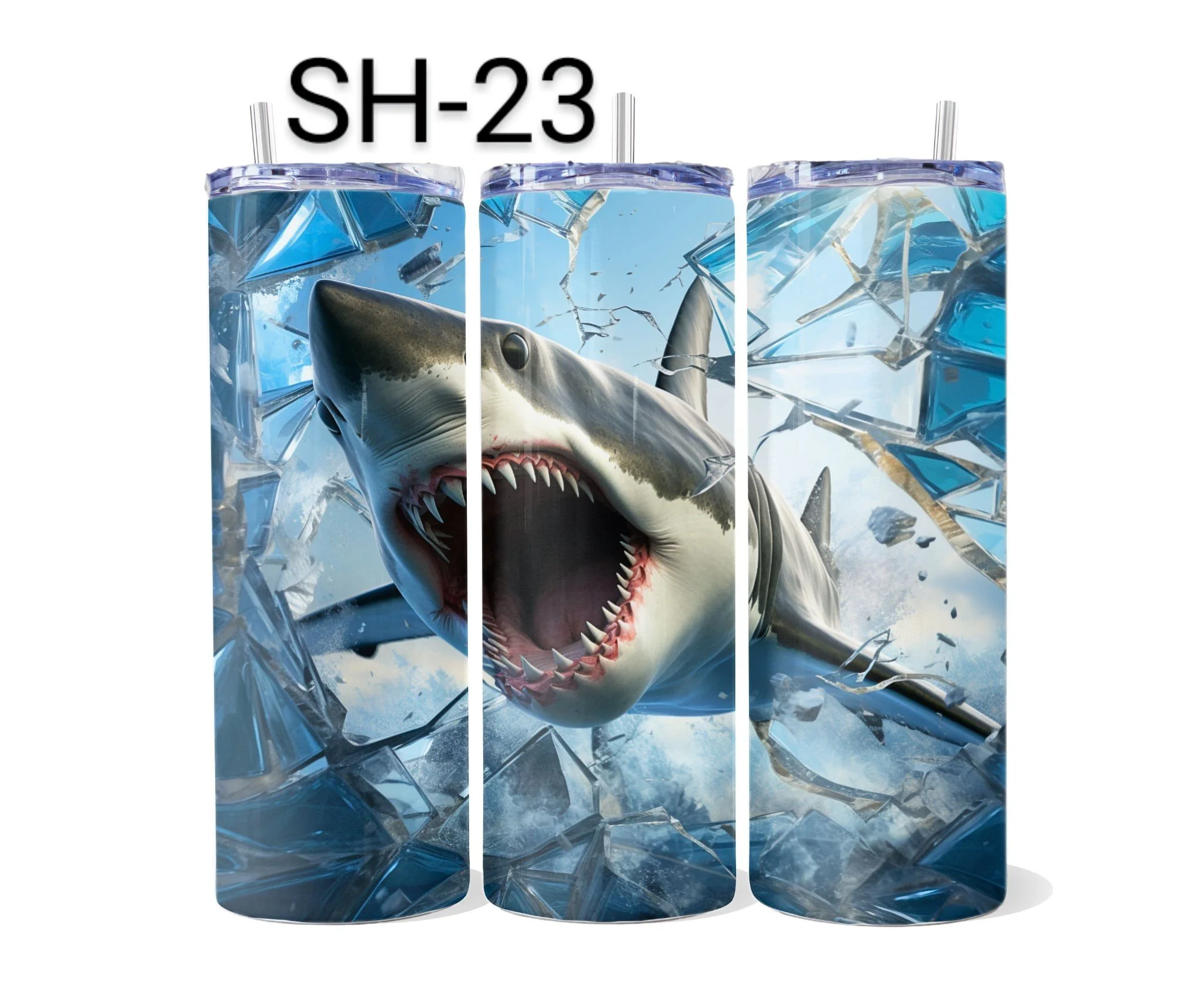 SH-23.jpeg