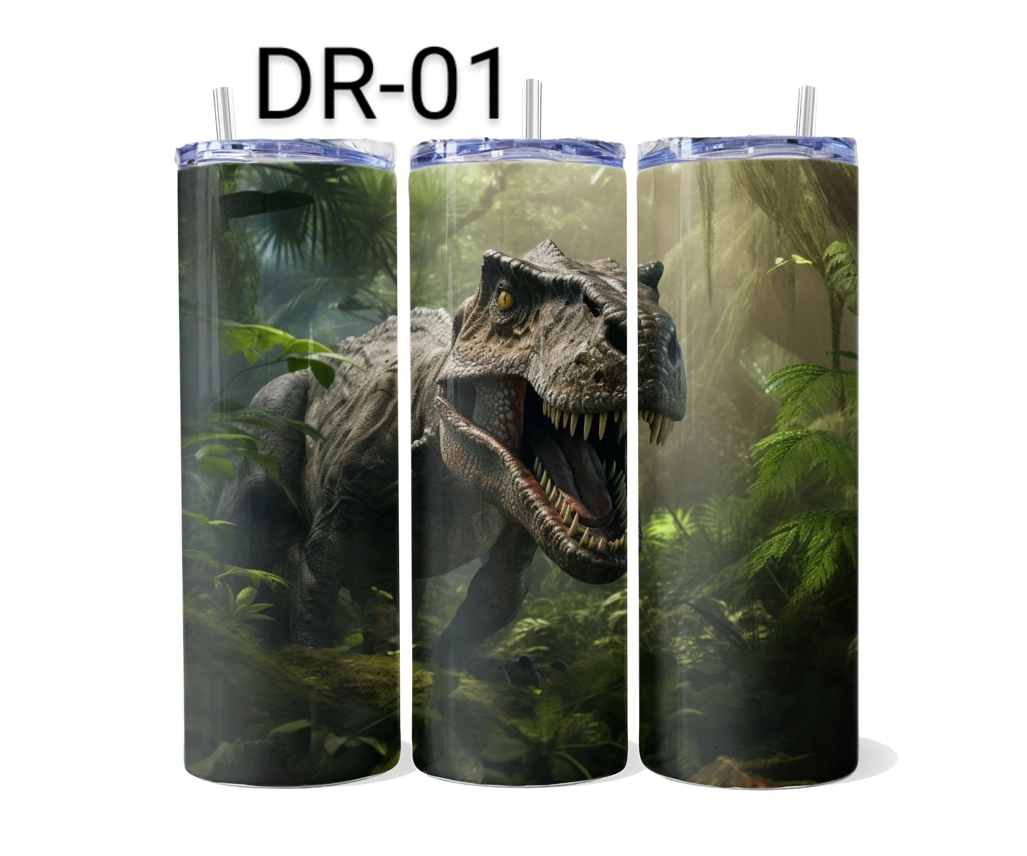 DR-01.jpeg