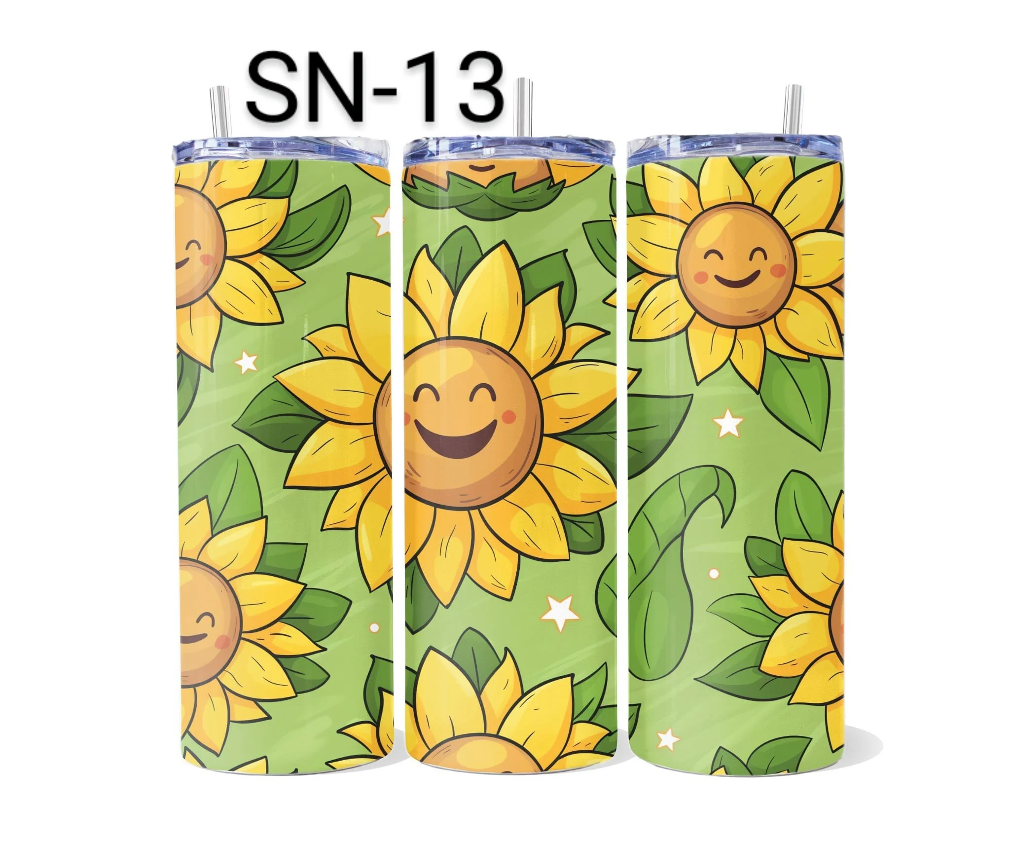 SN-13.jpeg