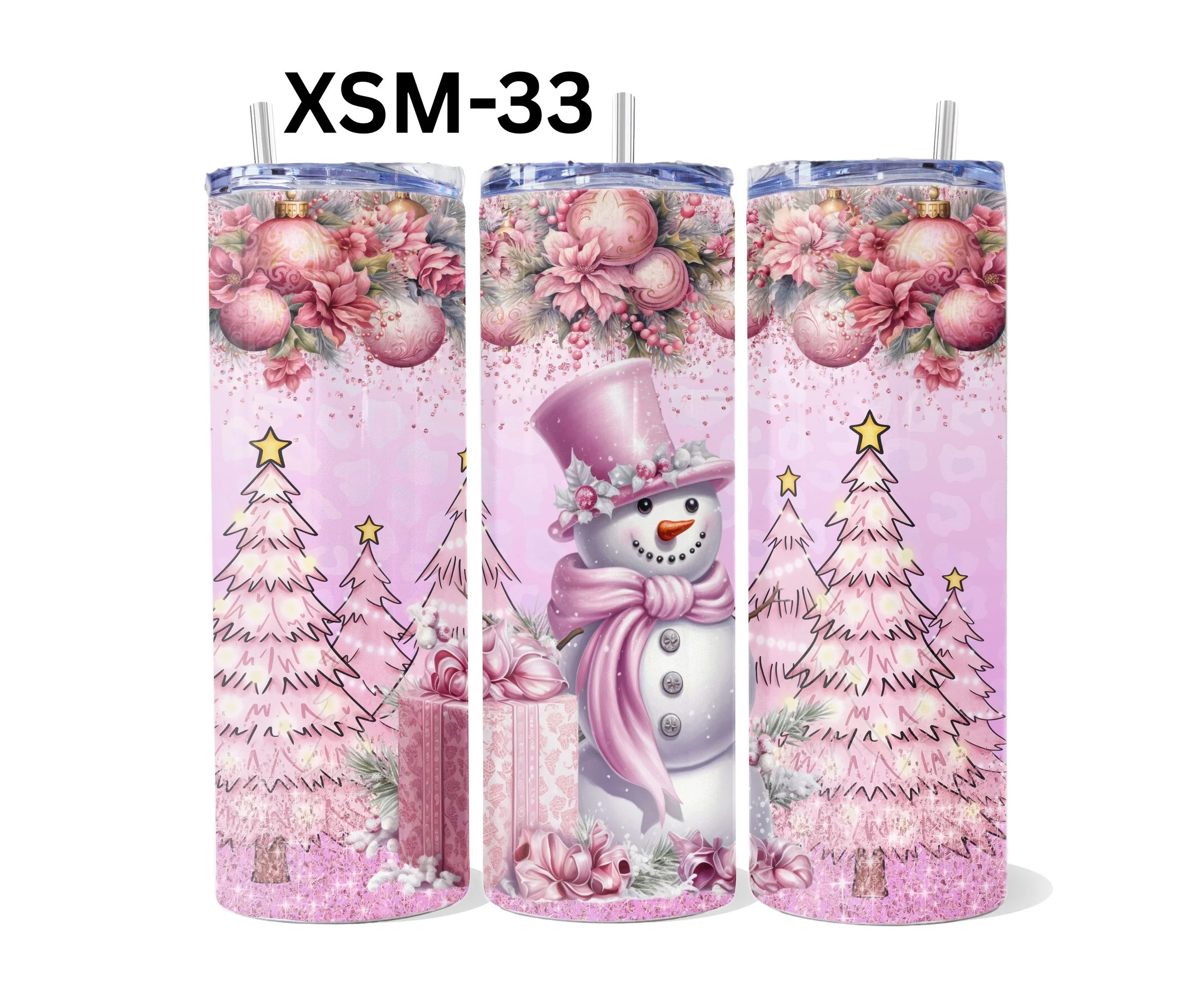 XSM-33.jpg