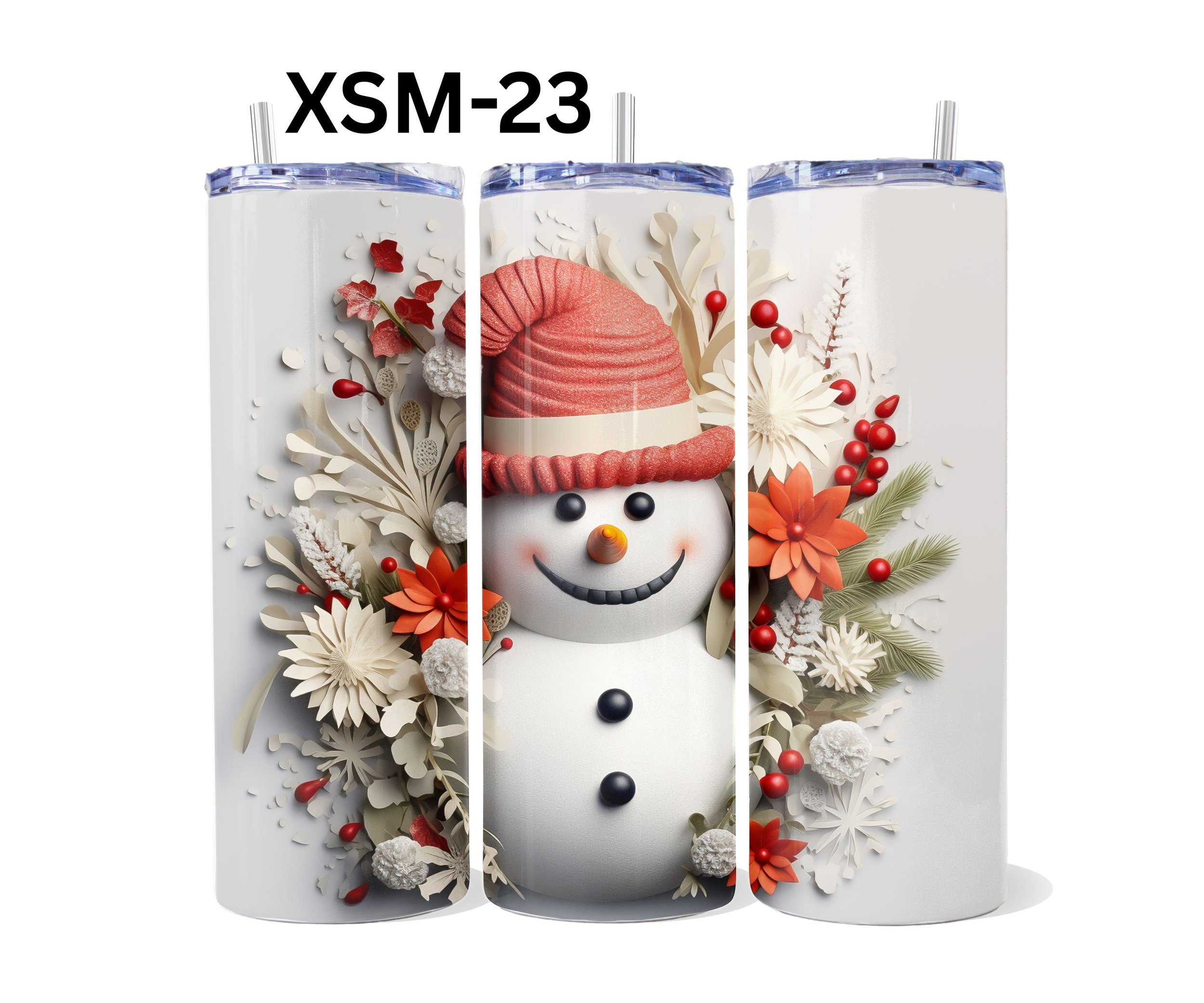 XSM-23.jpg
