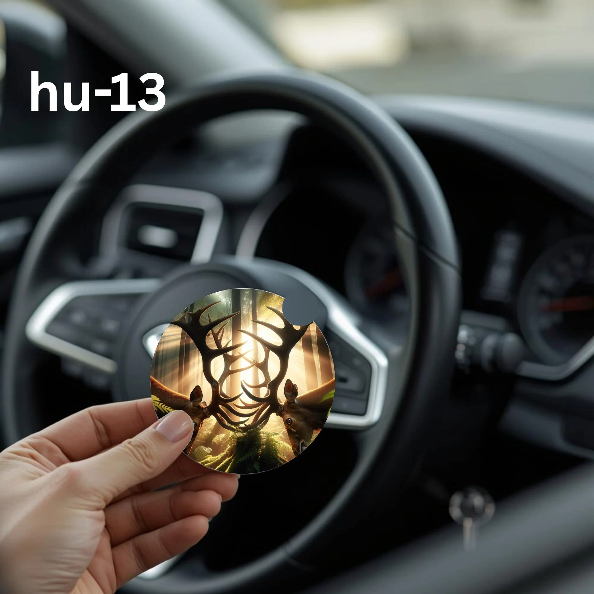 hu-13 Car Coaster.jpg