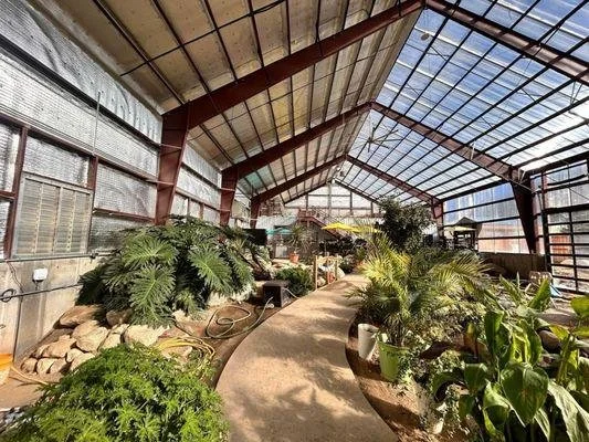 Interior of a greenhouse with a curved pathway, lush green plants, and a glass roof letting in natural light.