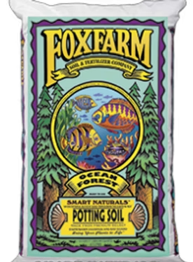 Ocean Forest Potting Soil