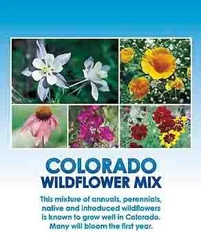 Collage of five wildflowers: white blossoms, yellow sunflowers, pink coneflower, purple and pink wildflowers, and red and yellow daisies, with a blue header that reads 'COLORADO WILDFLOWER MIX' and a description of the mix.