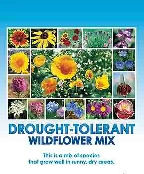 Arrangement of various colorful wildflowers in a collage with a blue background, labeled 'Drought-Tolerant Wildflower Mix', indicating it is a mix of species suitable for sunny, dry areas.