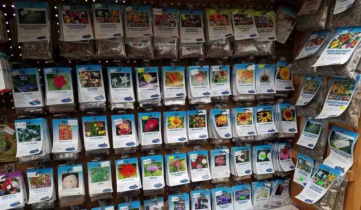 Display of various flower and plant seed packets on a store shelf.