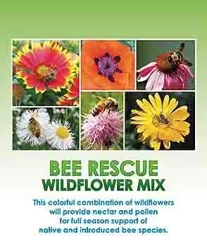 Six different wildflower images arranged in a grid, with a green background. Text below reads "BEE RESCUE WILDFLOWER MIX" and a description about supporting native bees with nectar and pollen.