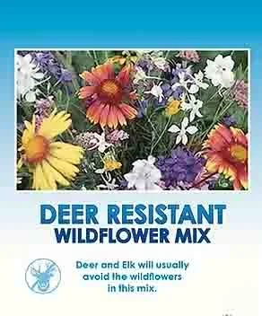 A packet of Deer Resistant Wildflower Mix with colorful wildflowers including daisies, coneflowers, and other native flowers on the front.