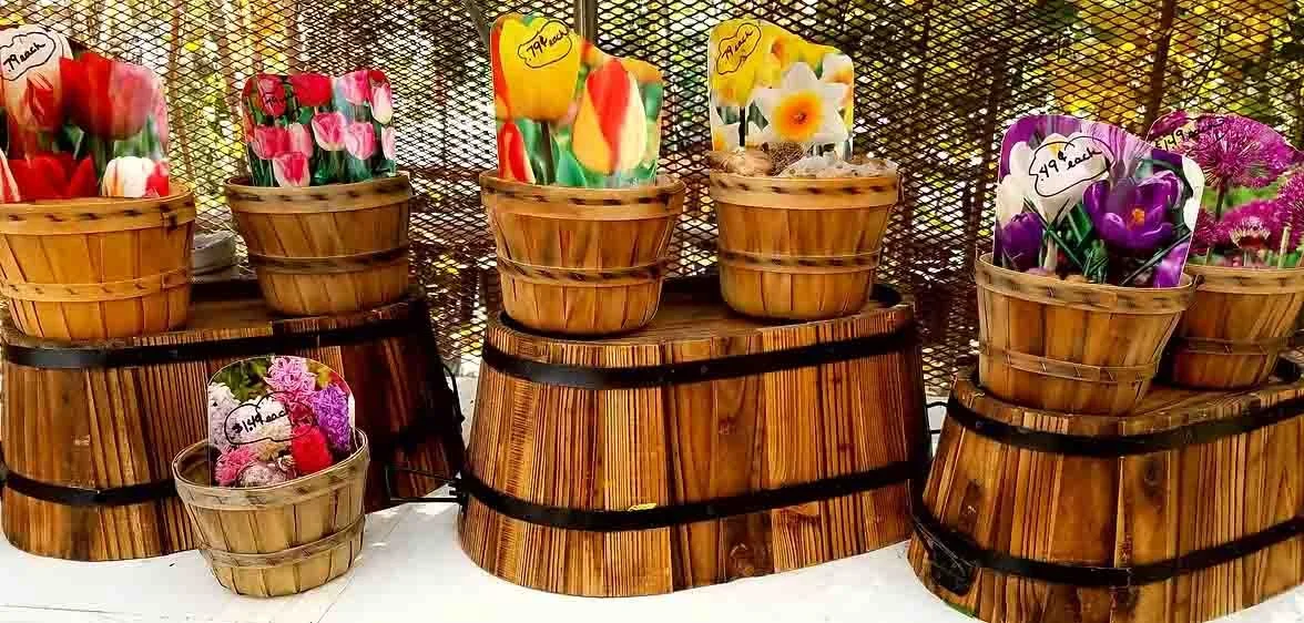 Wooden baskets filled with colorful flower photos and plant bulbs for sale, arranged on a wooden display stand.