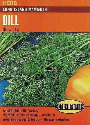 Packet of dill herb seeds showing green dill plants, with a yellowish-orange fruit or vegetable to the right.