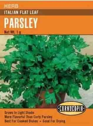 Package of Herb Italian Flat Leaf Parsley with an illustration of parsley plant.