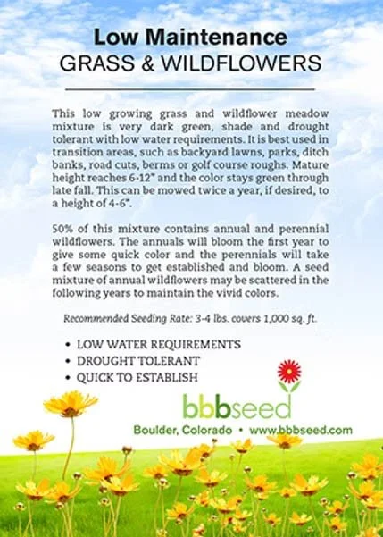 Printed information about low maintenance grass and wildflowers, featuring yellow wildflowers and a red and white daisy on green grass with a blue sky background.