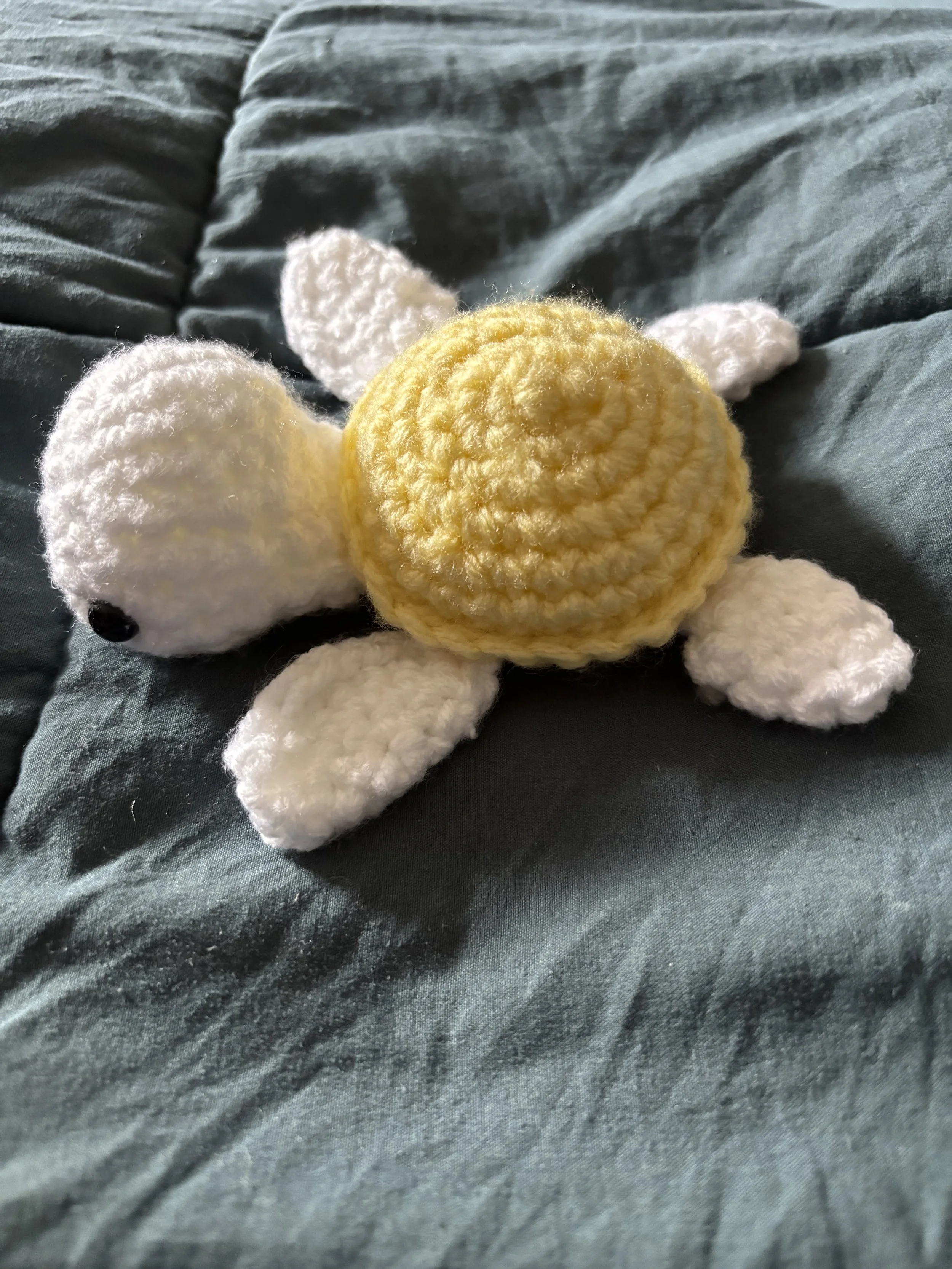 Sunny the Baby Turtle