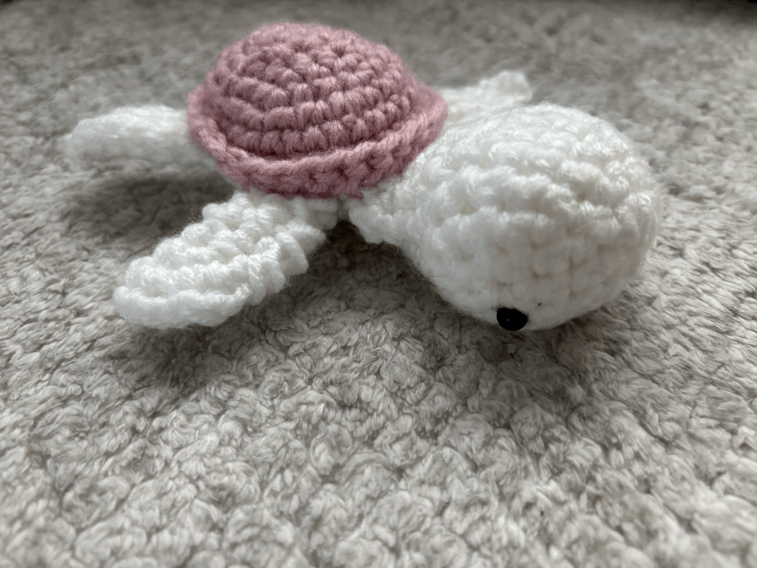 Blossom the Turtle