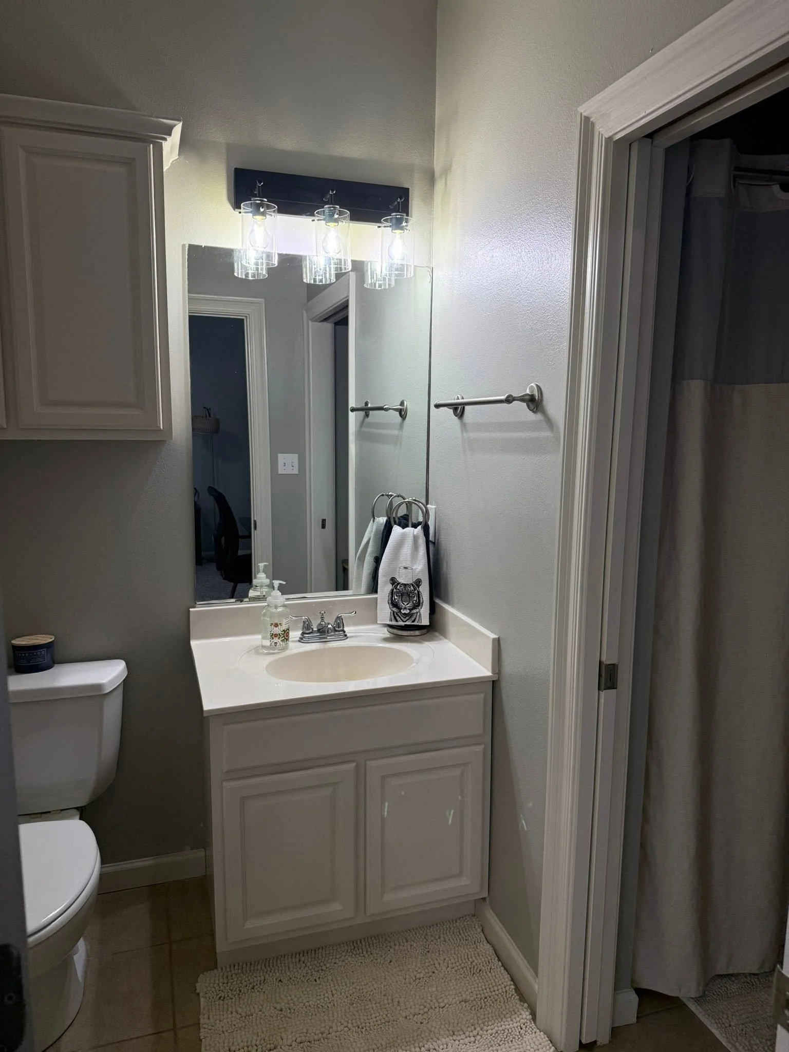 Tiger Den Bathroom.jpg