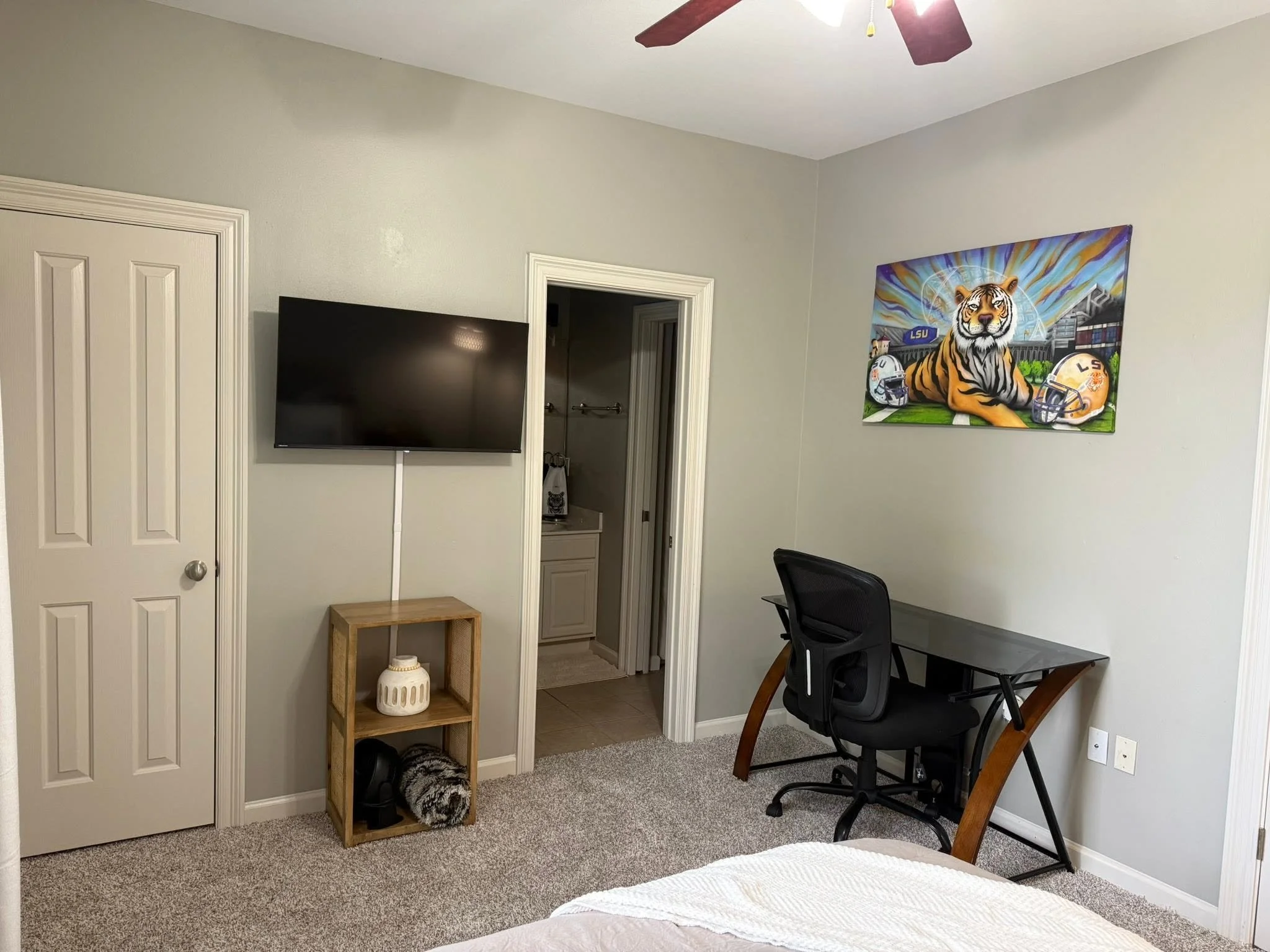 Desk, tv and bathroom view.jpg