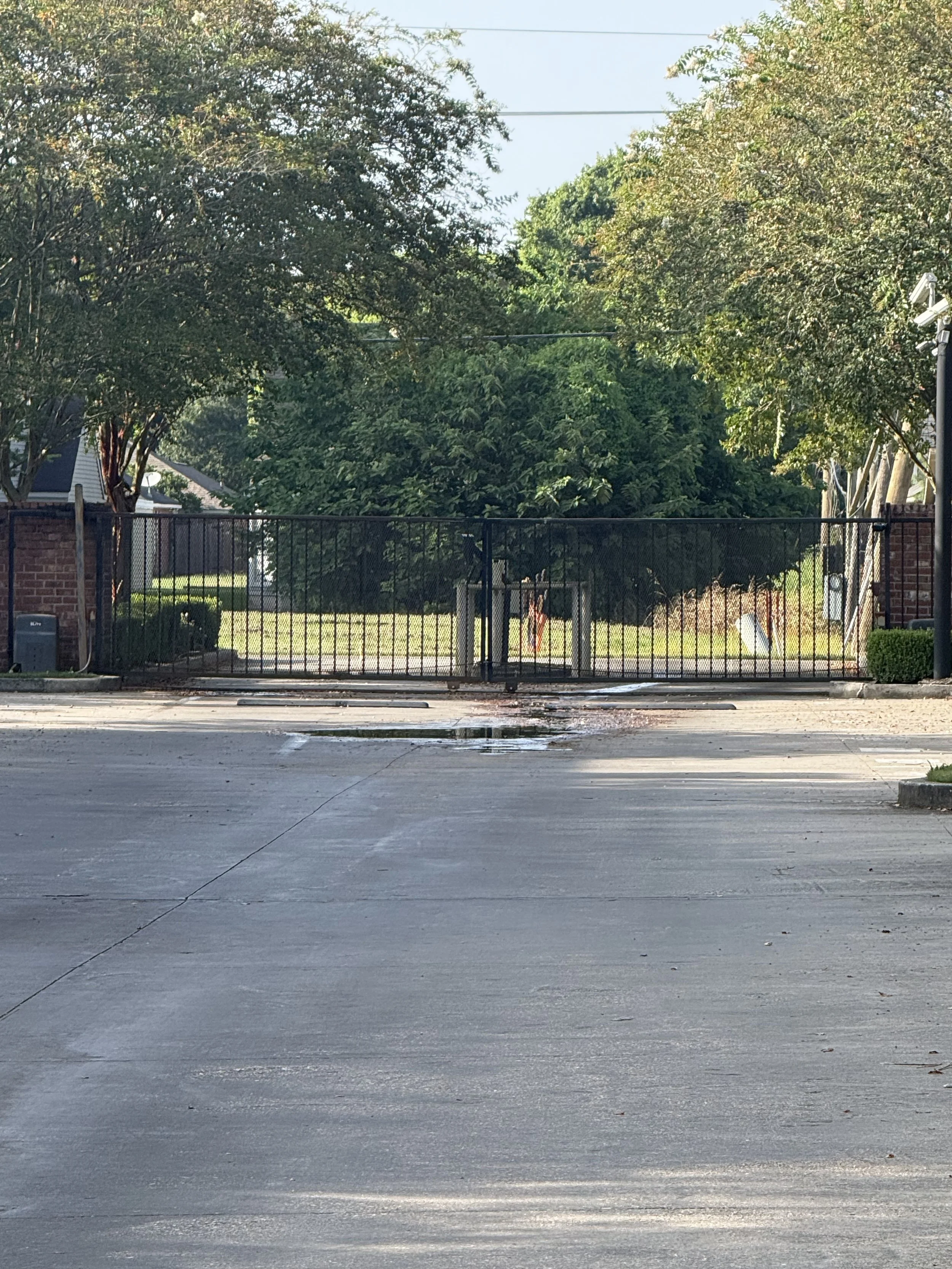 A front view of a closed black metal gate with a lock, situated in a driveway with paved concrete, flanked by brick pillars and greenery, with trees and houses in the background.