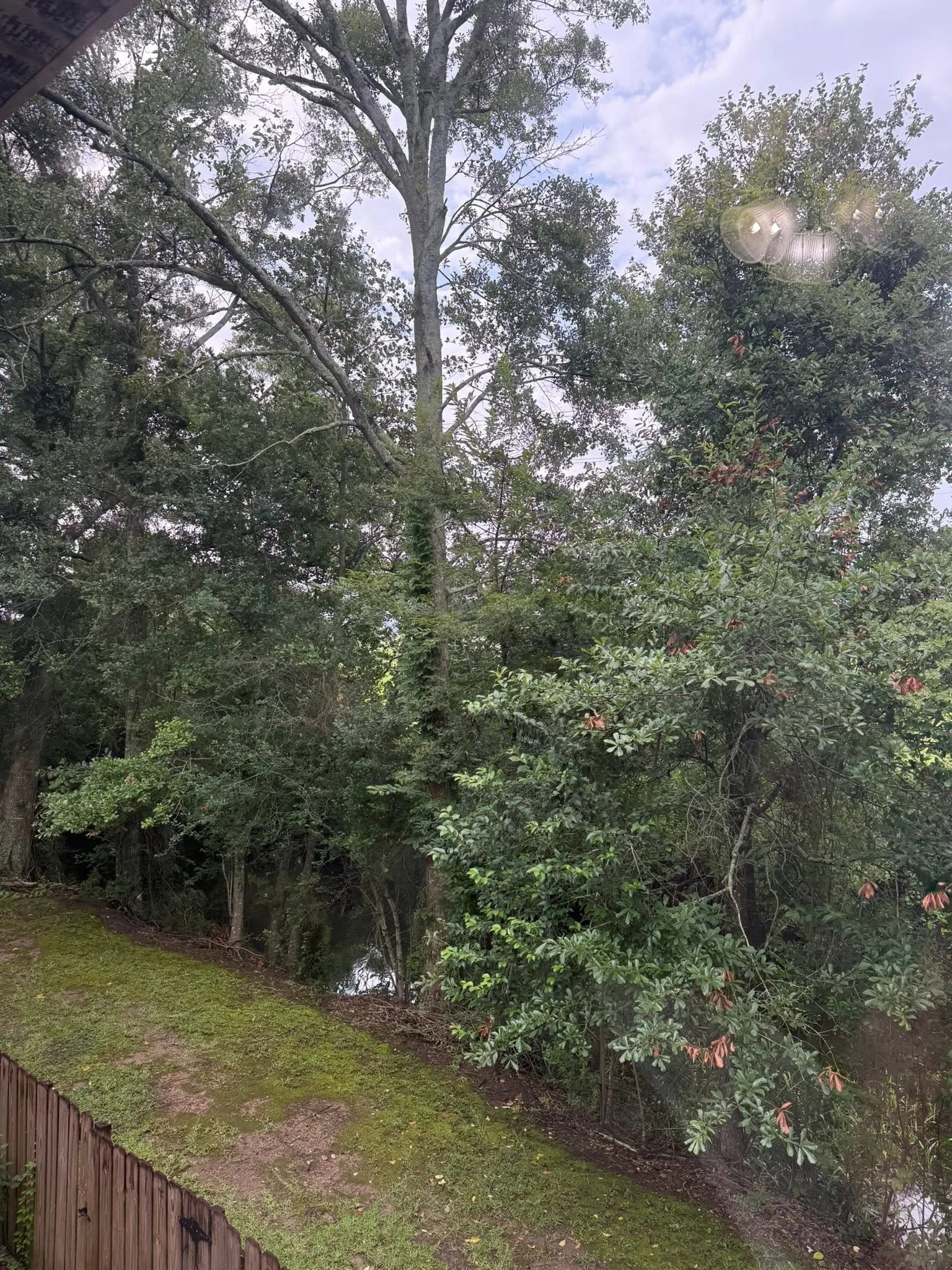 Creek view 2.jpg