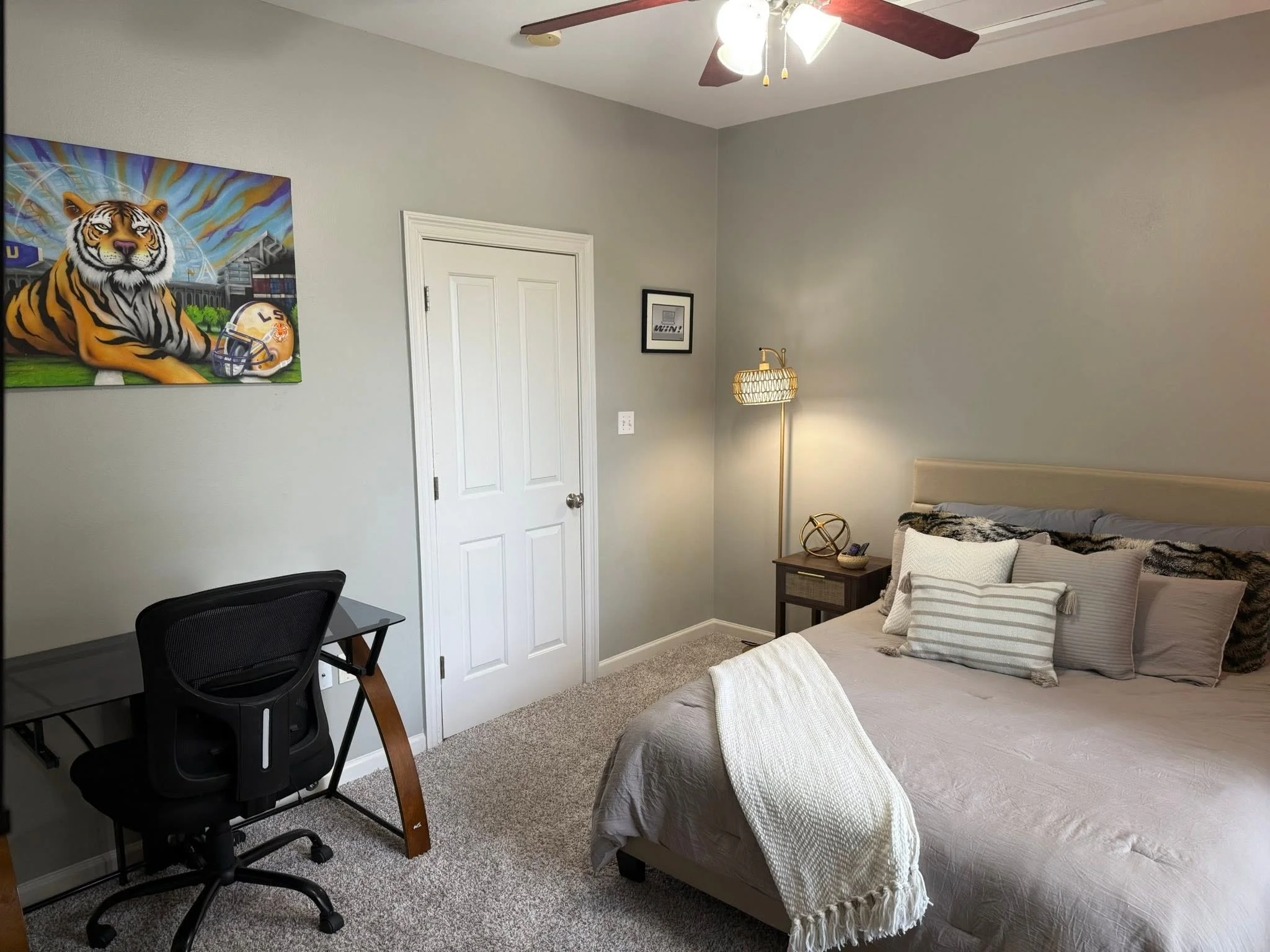 Tiger Den from closet.jpg