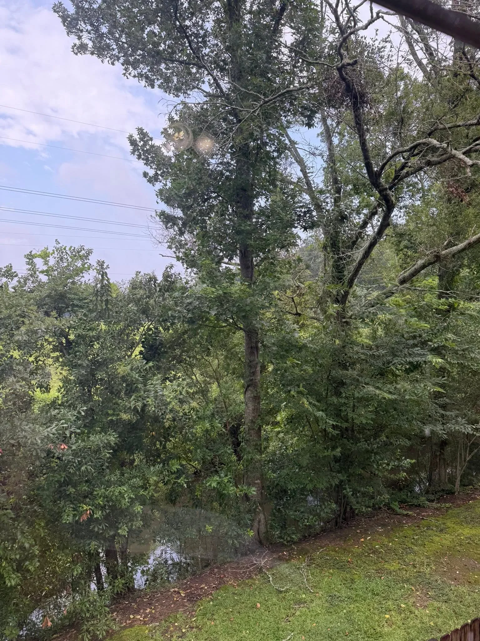creek view 1.jpg