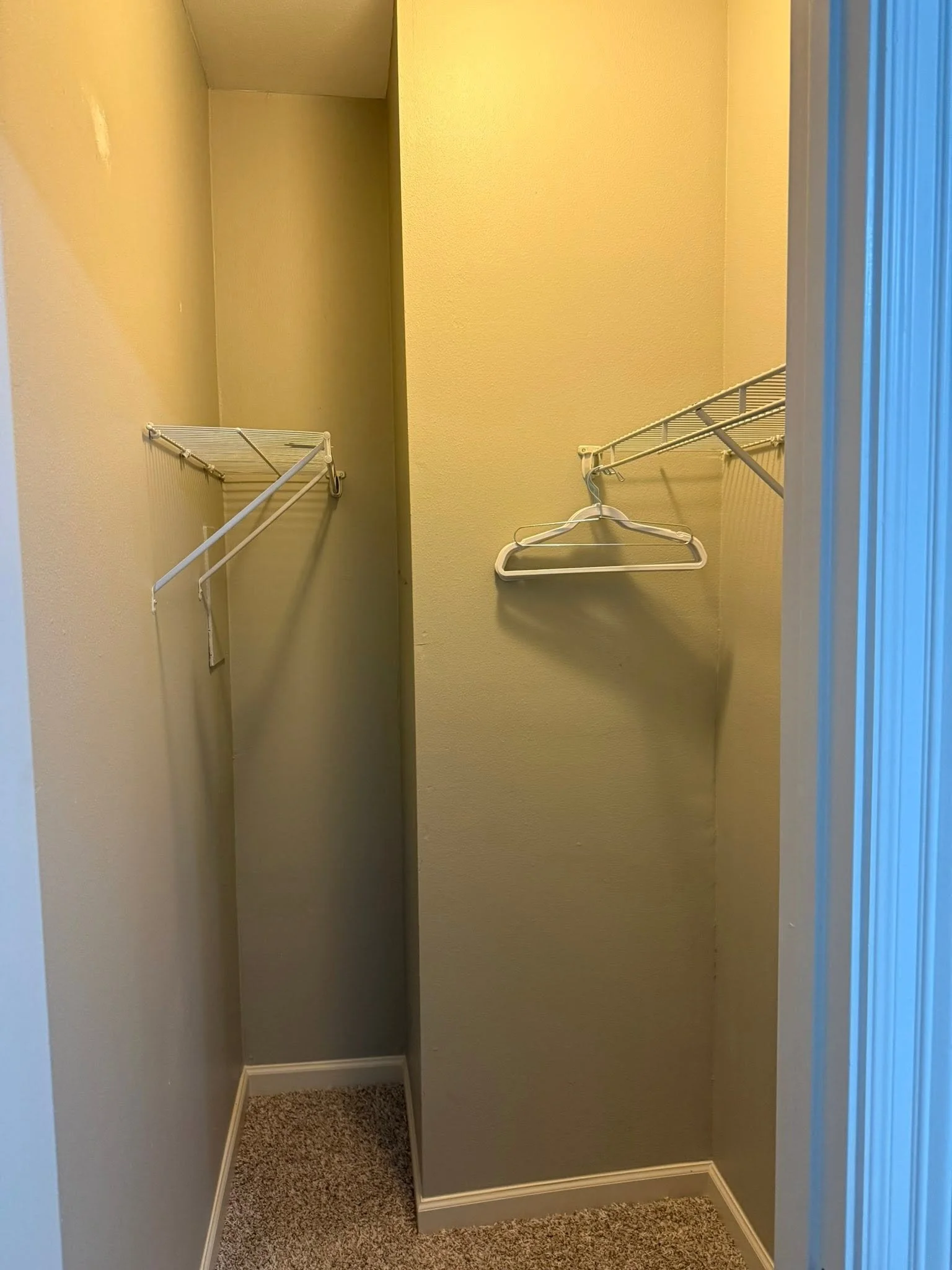 Tiger Den Closet.jpg