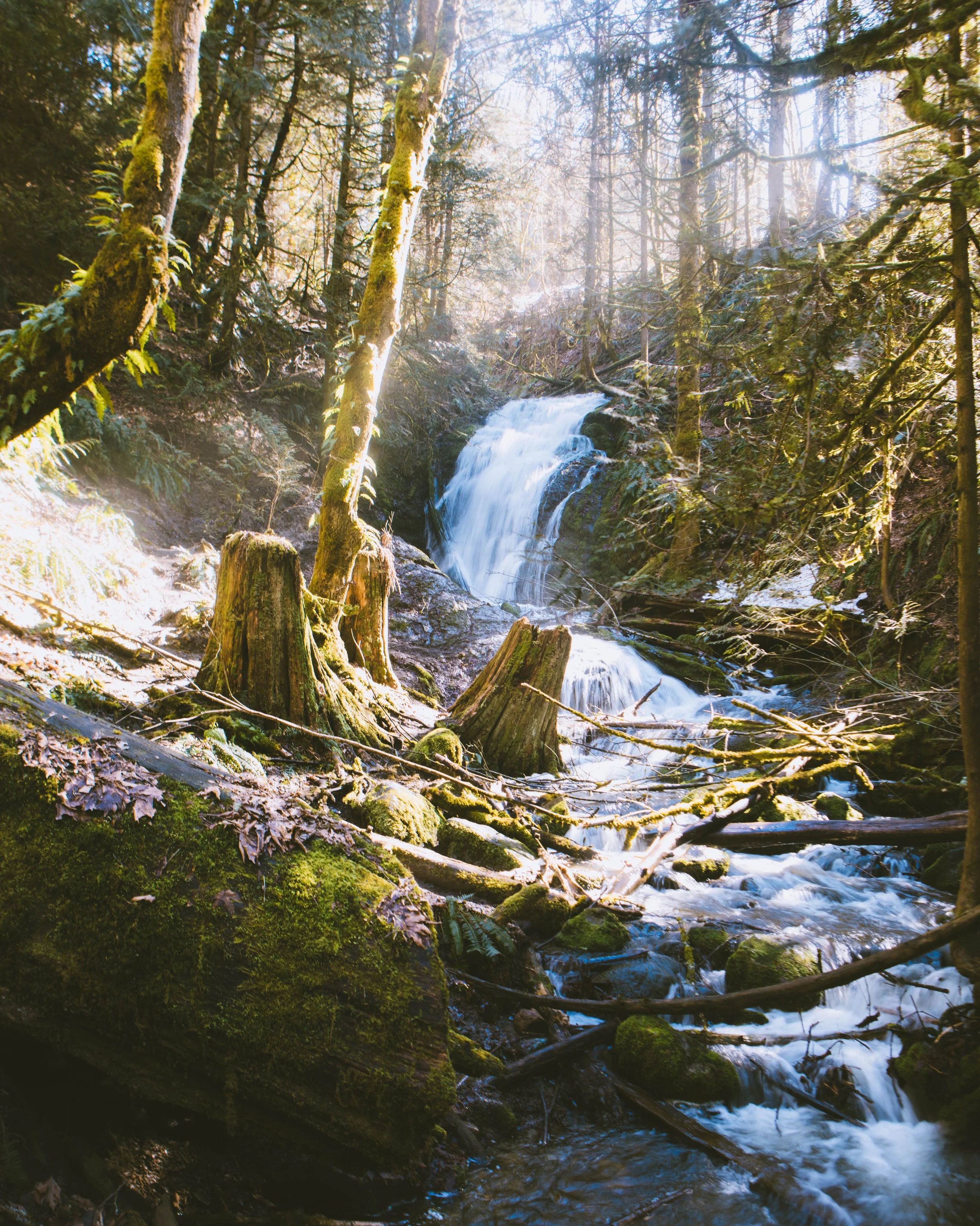 untitled shoot-059.jpg