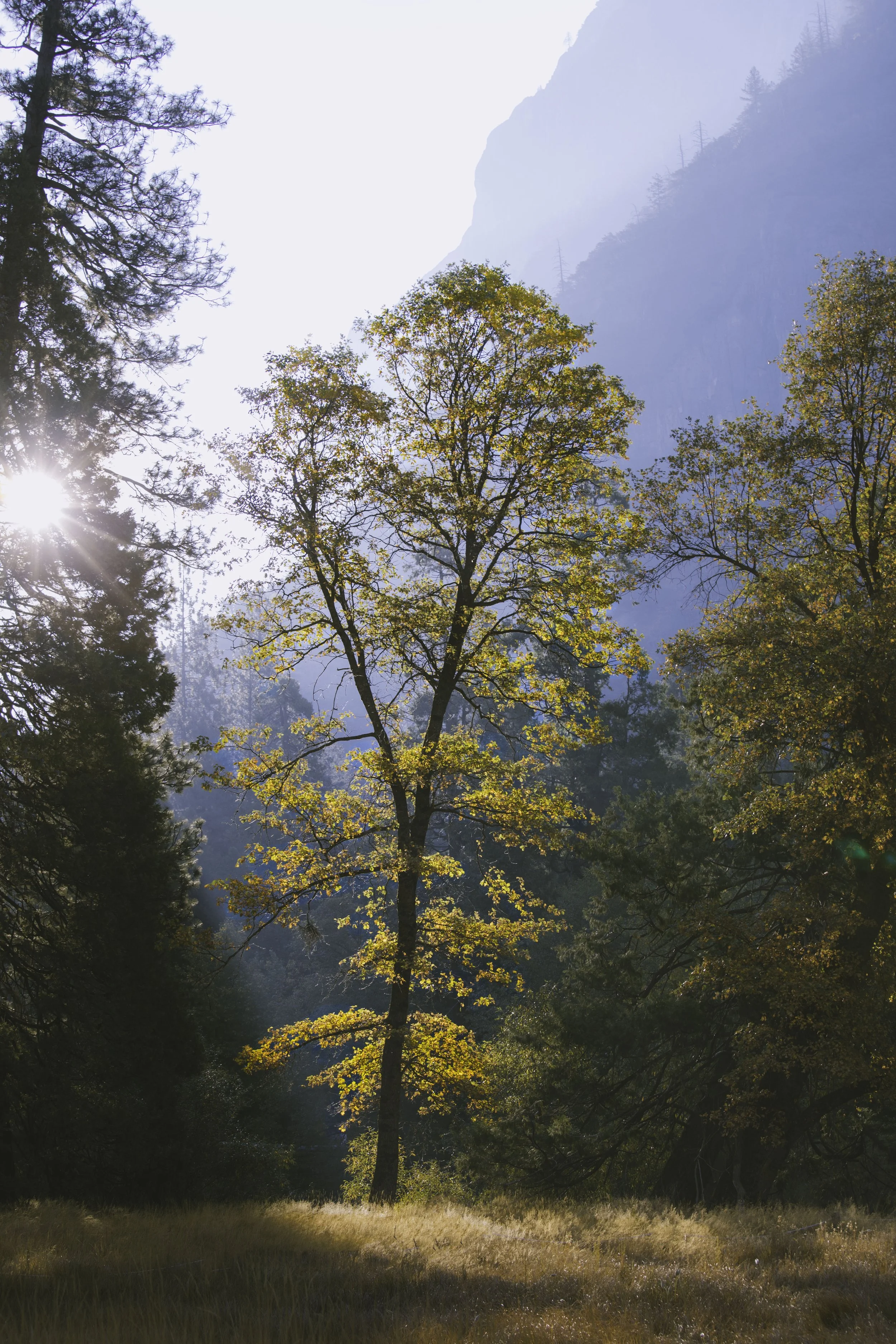 untitled-155.jpg
