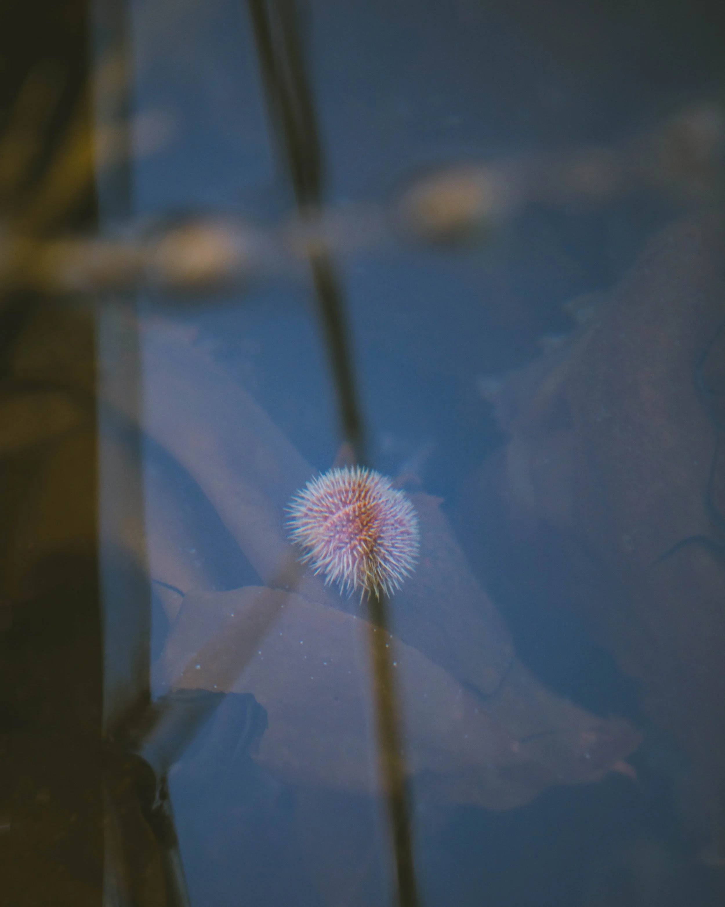 untitled-277.jpg