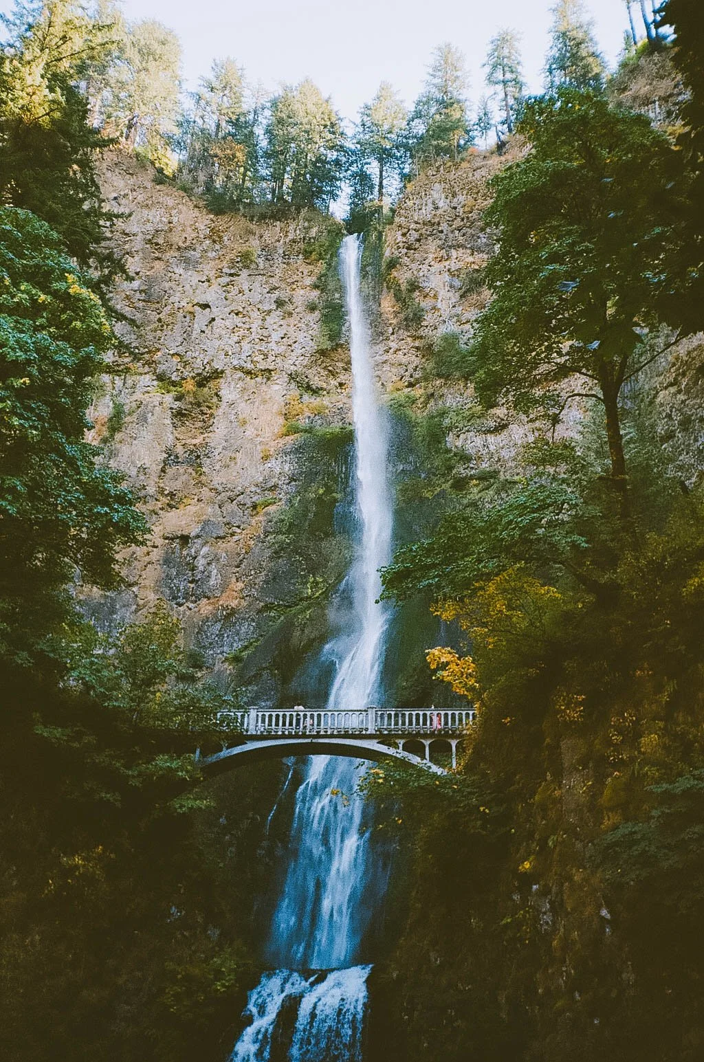 untitled-54.jpg