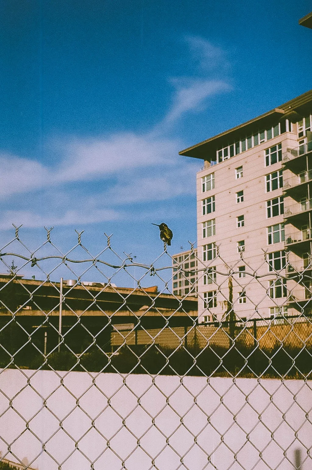 untitled-74.jpg