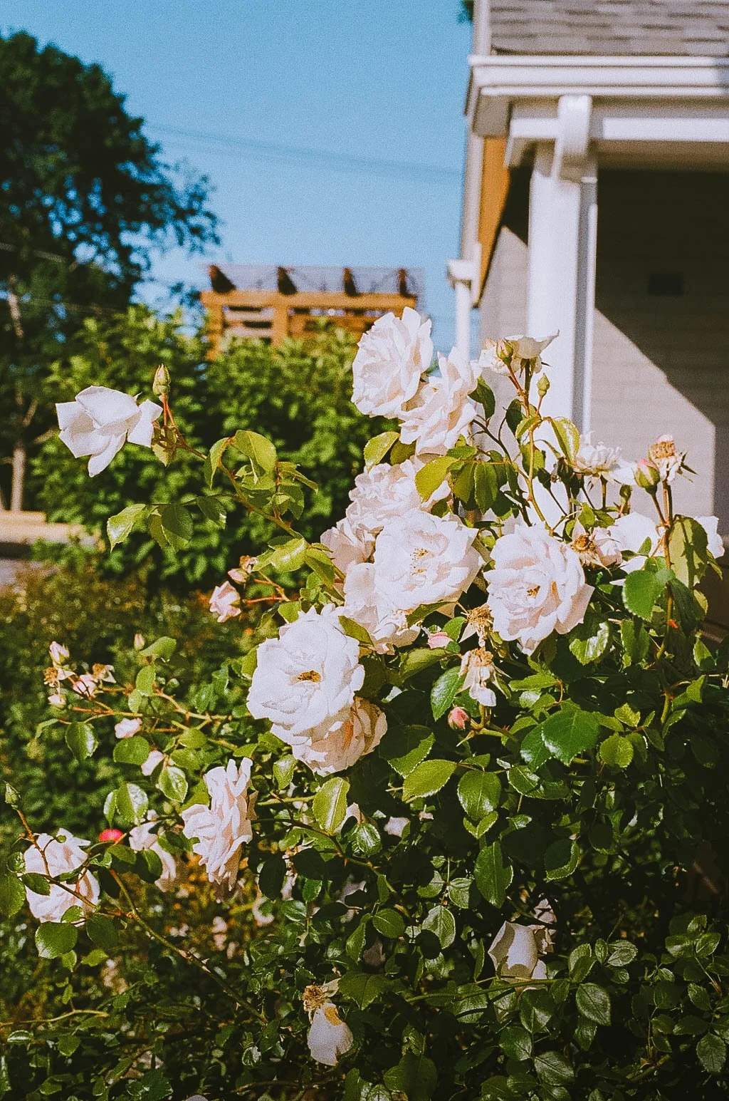 untitled-115.jpg