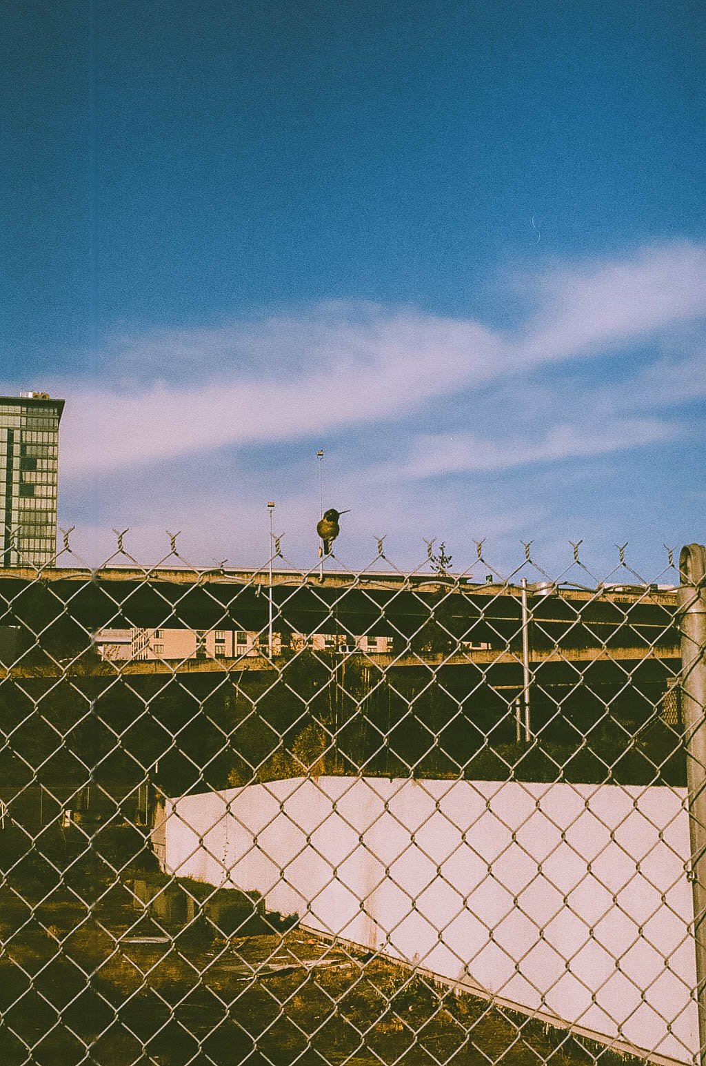 untitled-77.jpg