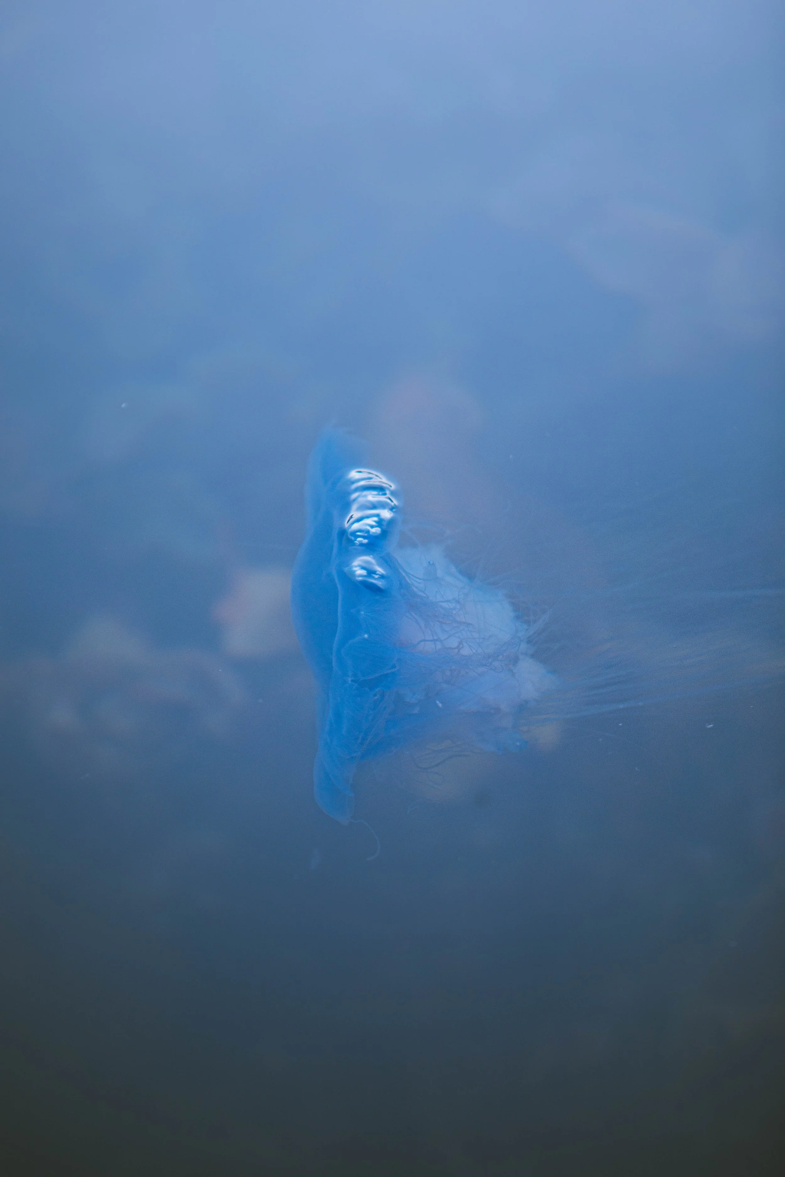 untitled-232.jpg