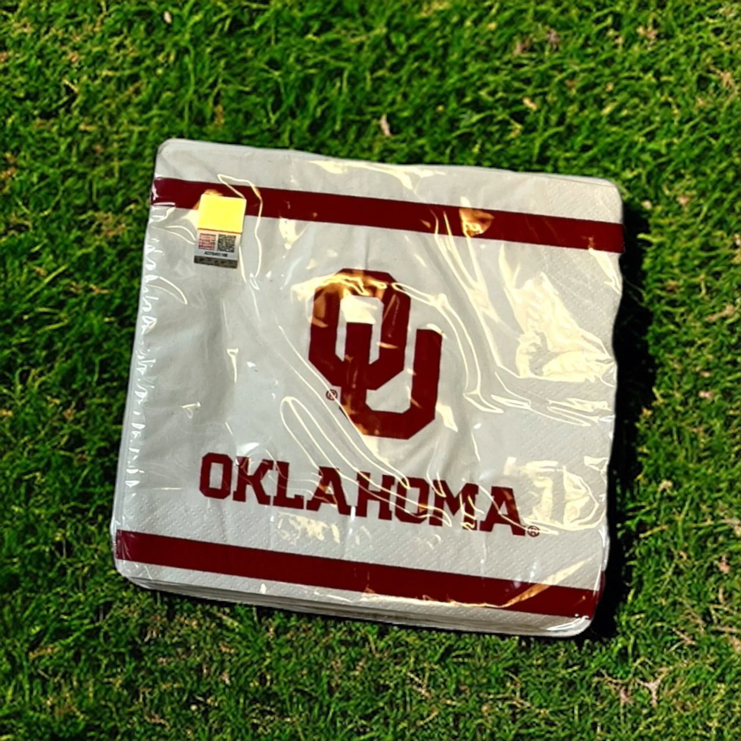 Large Party Napkins