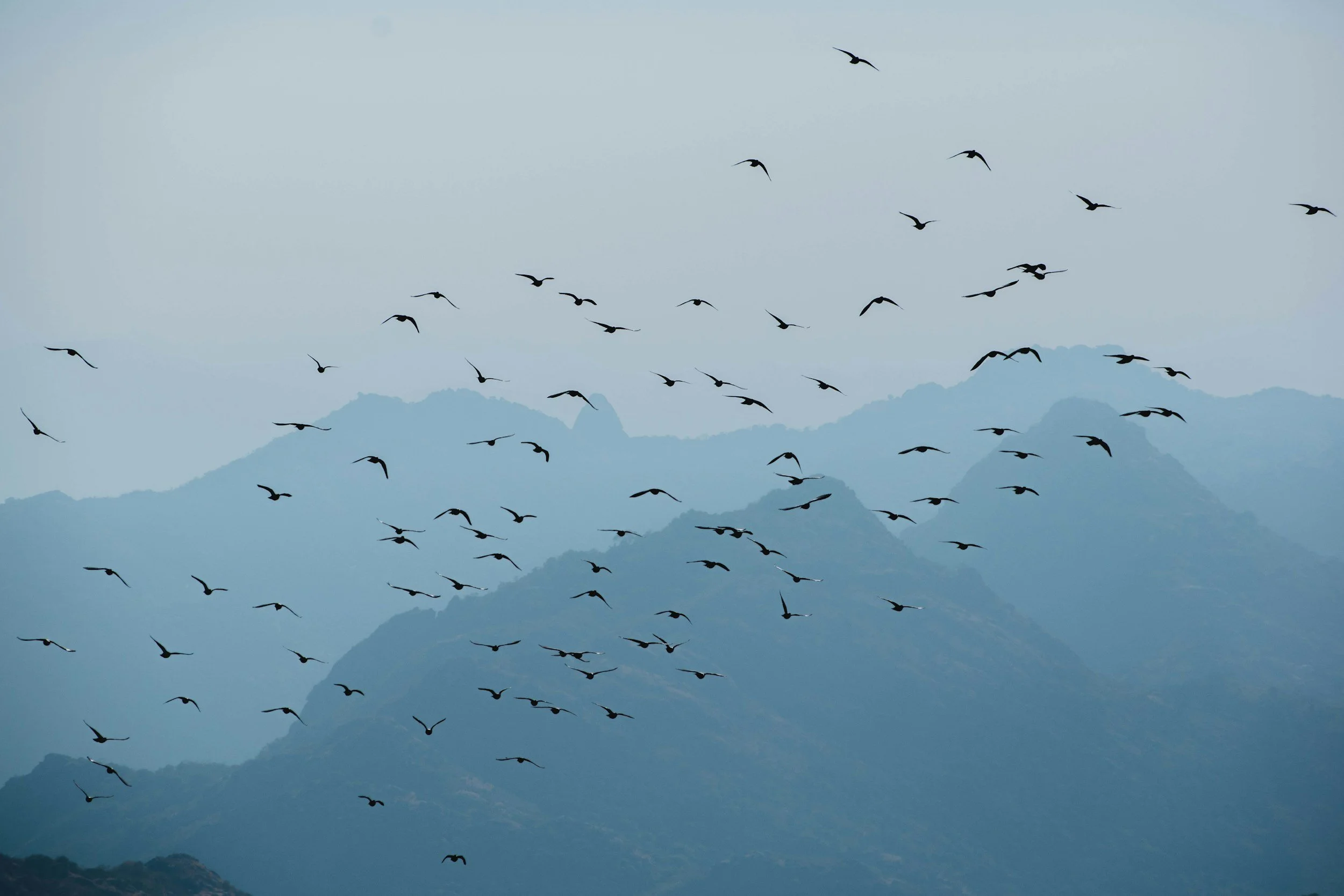 unsplash-image-lnzwqJ-cKXY.jpg
