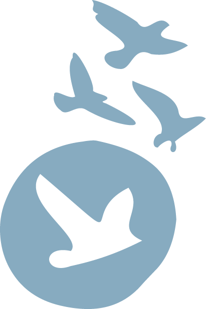 Murmuration Healing