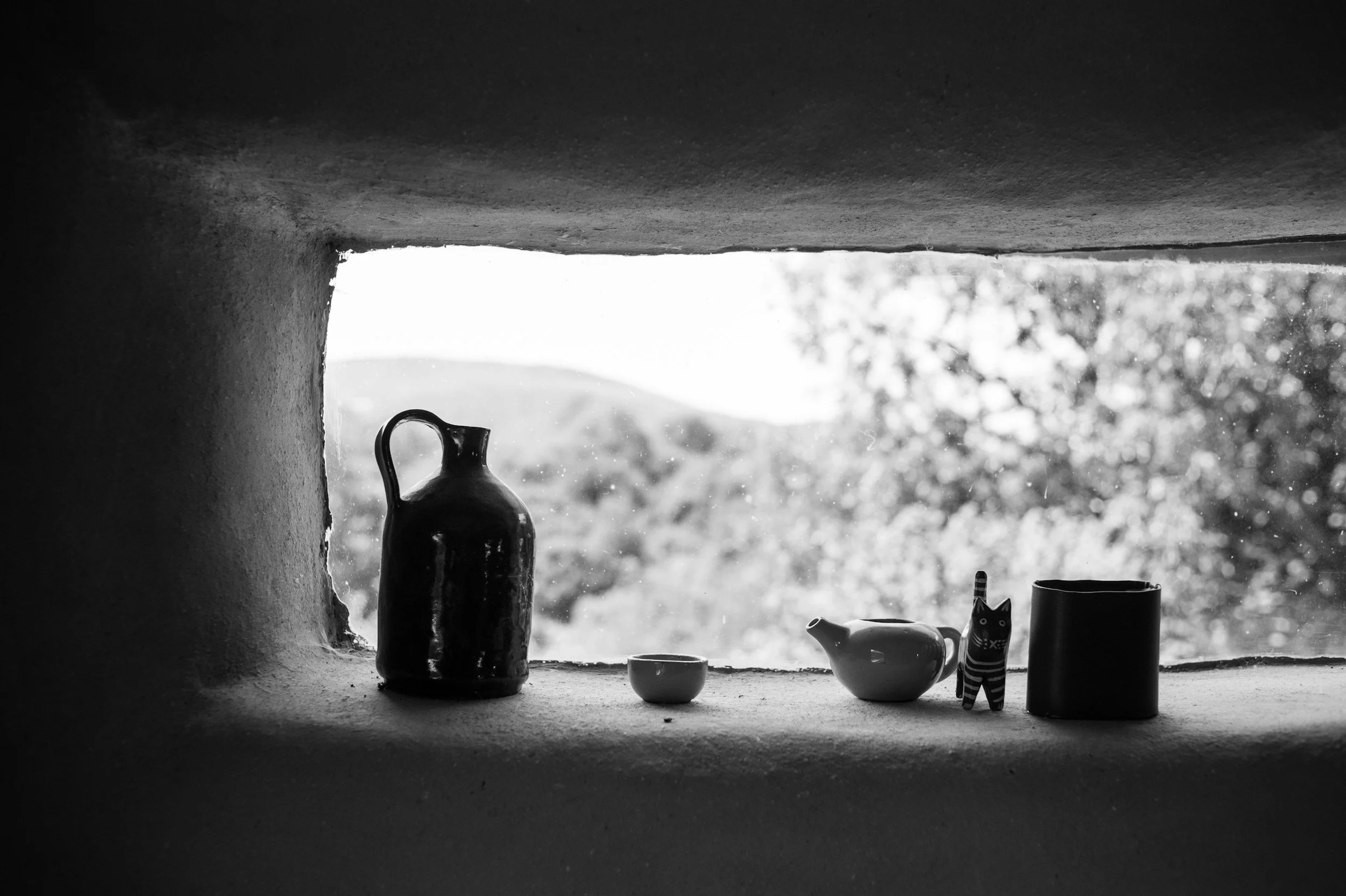 Why work with a herbalist?