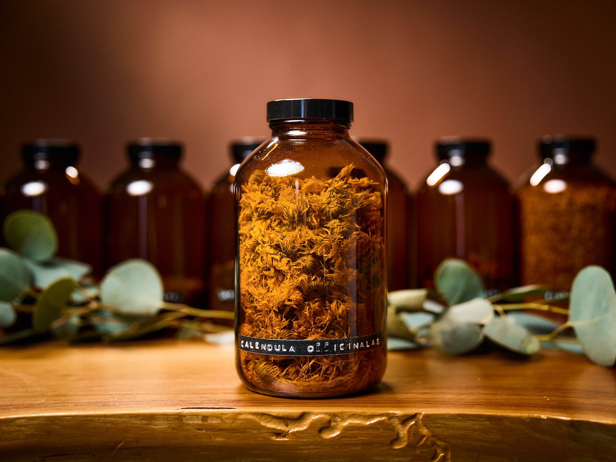Herb Highlight: Calendula