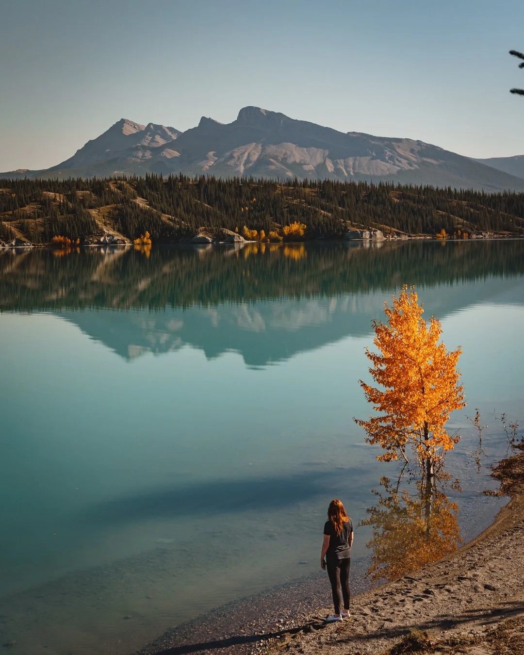 A woman standing on the shore of a lake with a tree with orange leaves in the foreground. The calm lake reflects trees and mountains in the background under a clear sky.