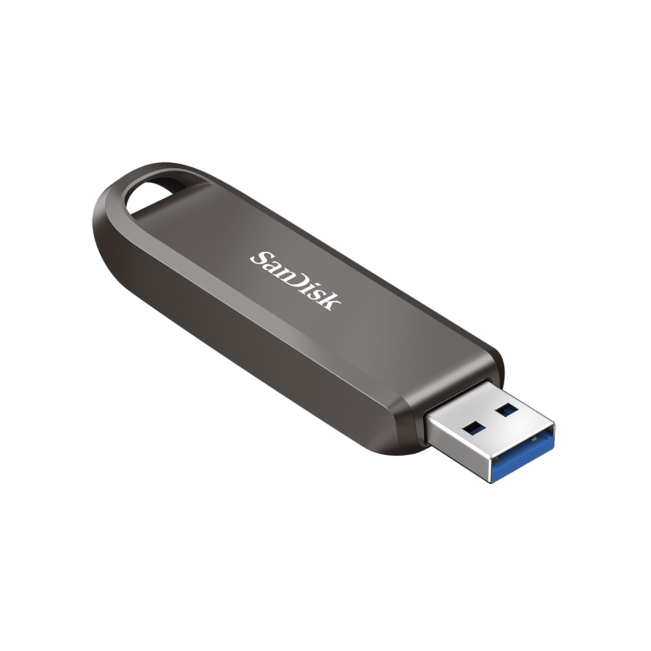 Diccionario Audiovisual de Lenguaje de Señas (Formato USB)