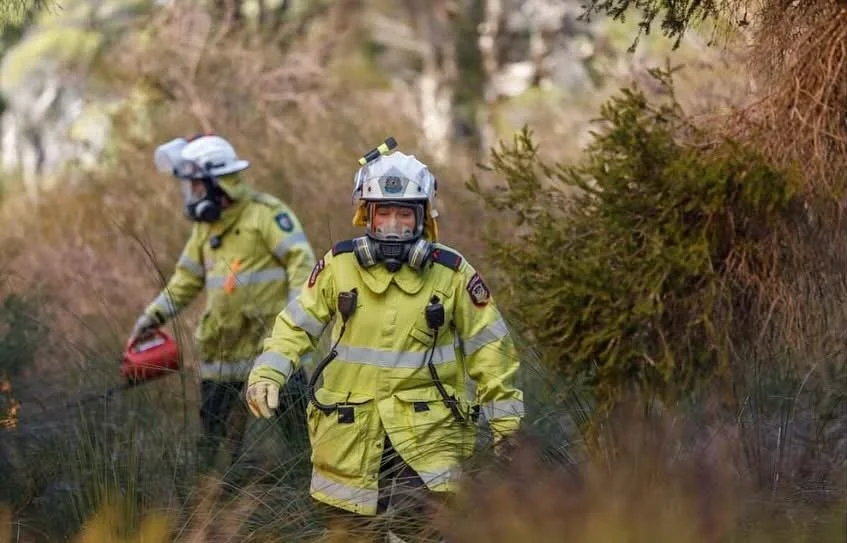 Two firefighters in yellow protective gear and helmets working in a forested area.