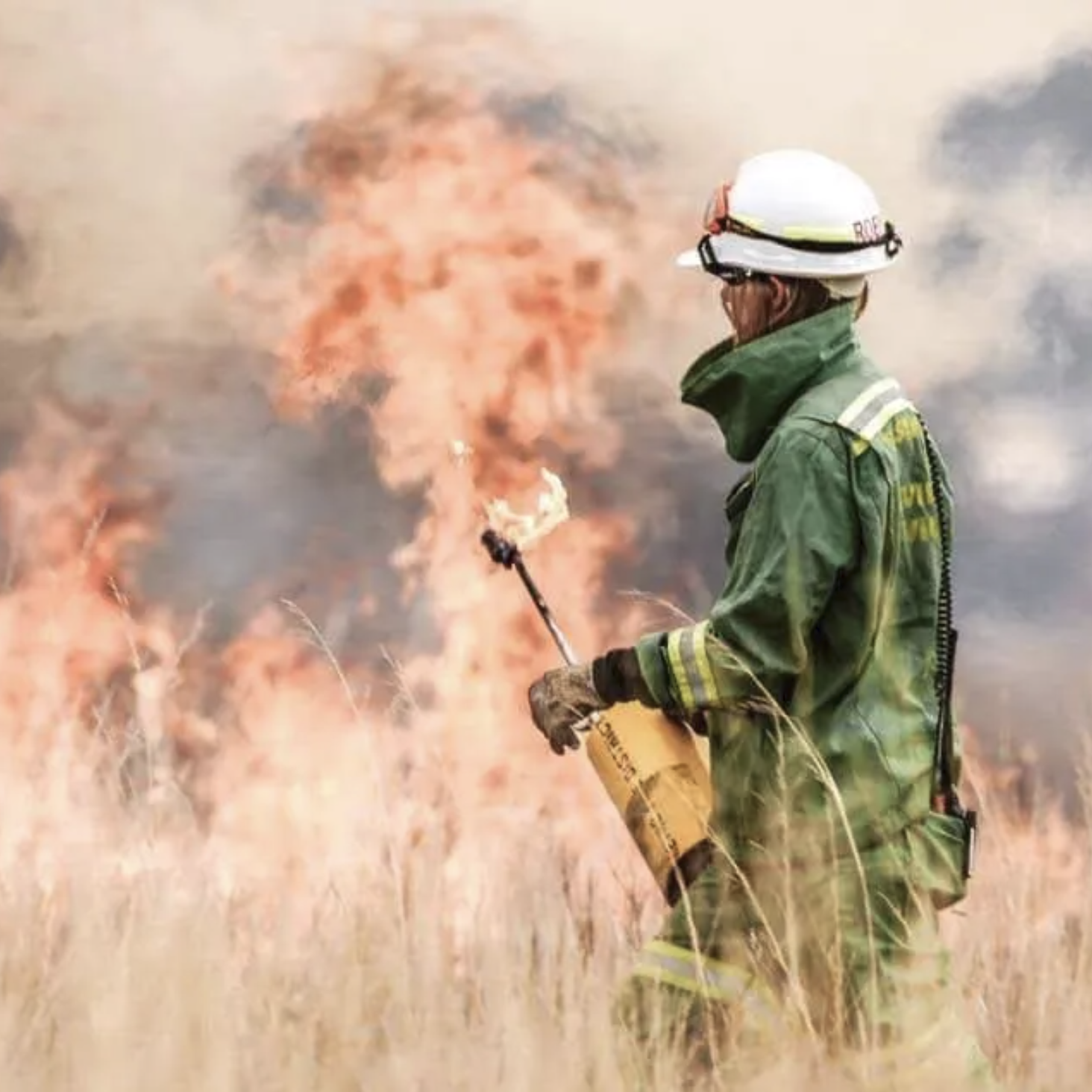 Firefighter wearing protective gear and helmet extinguishing a fire with a flaming torch in a dry grassy field.