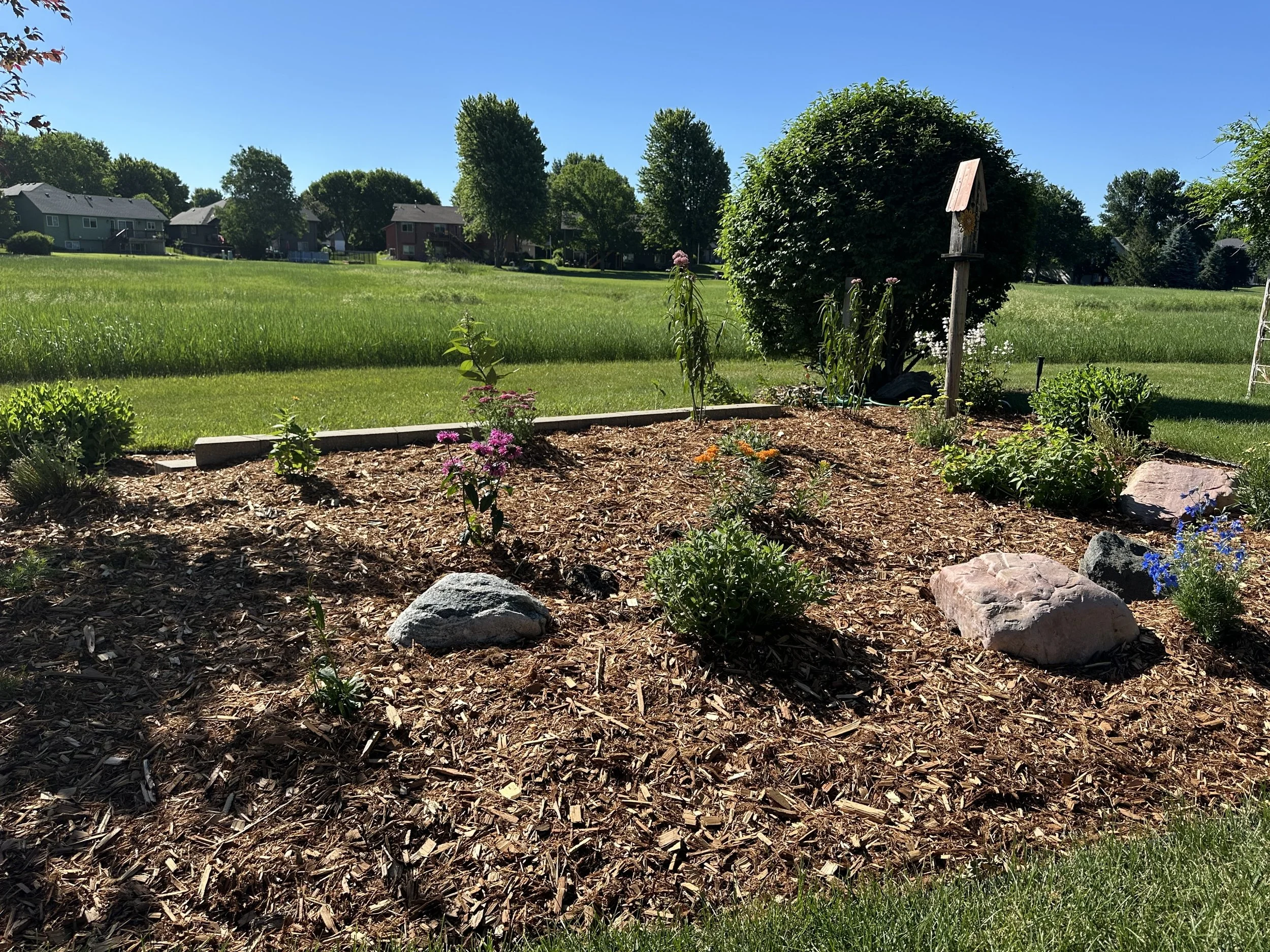 A landscaped yard with flower garden in foreground, green lawn, trees, residential houses, and a clear blue sky.
