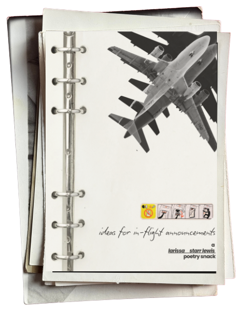 Book titled 'Ideas for In-Flight Announcements,' a cult favorite poetry book by Larissa Starr Lewis, with a cover image of an airplane flying in the sky.
