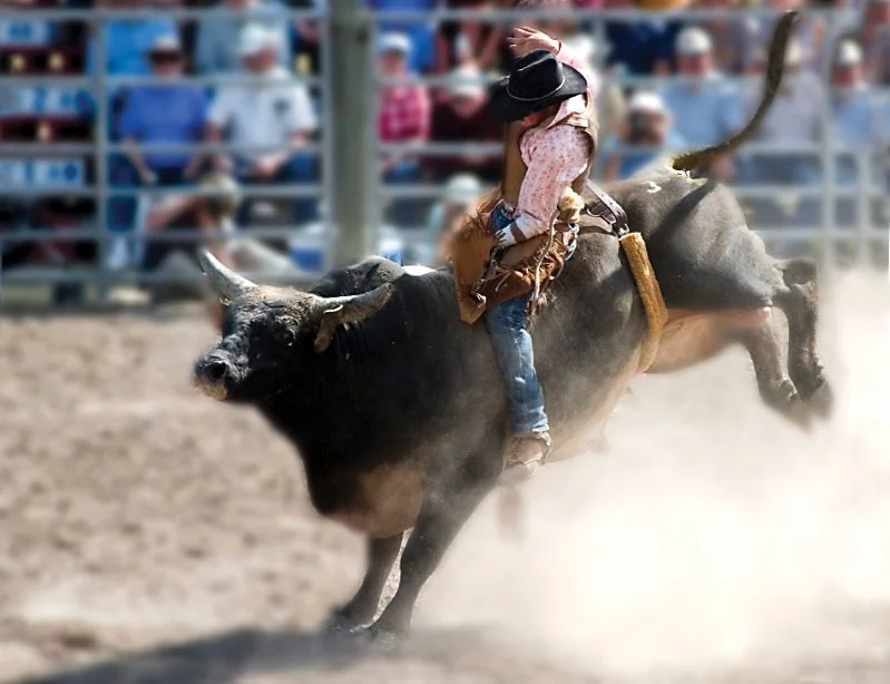 Child riding a bucking bull at a rodeo with spectators in the background.